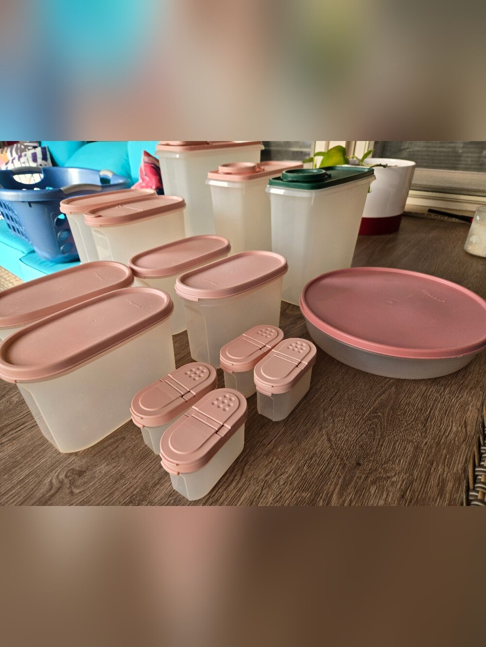 Huge Vintage Tupperware Modular Mates Set - Pink & Green Pastel Pantry Storage S